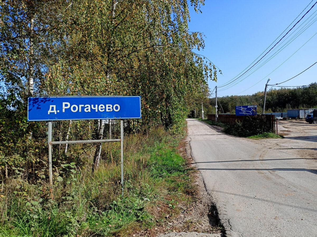 В Африке родился, под Калугой пригодился. Как Тим Ололо стал деревенским  старостой | Нация | Дзен