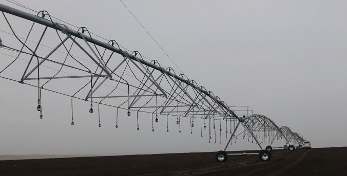 Фото: пресс-служба правительства Республики Башкортостана