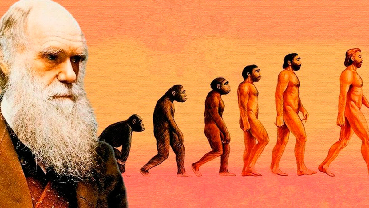 Почему теория Дарвина не идеальна? | ОПТИМУМ | Дзен