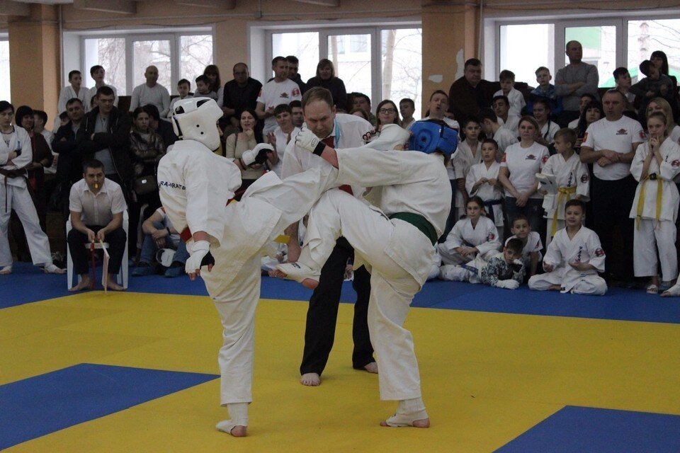    В выходные пройдут сразу три региональных турнира по единоборствам. rossadm.ru