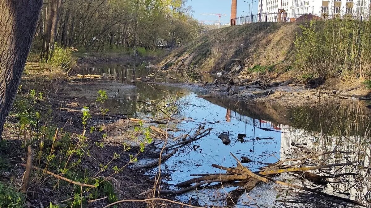     Водителя бетоновоза, которого жители Нижнего Новгорода обвинили в загрязнении реки Борзовки, должны привлечь к ответственности за нарушения. Об этом NewsNN сообщили в министерстве экологии и природных ресурсов региона.