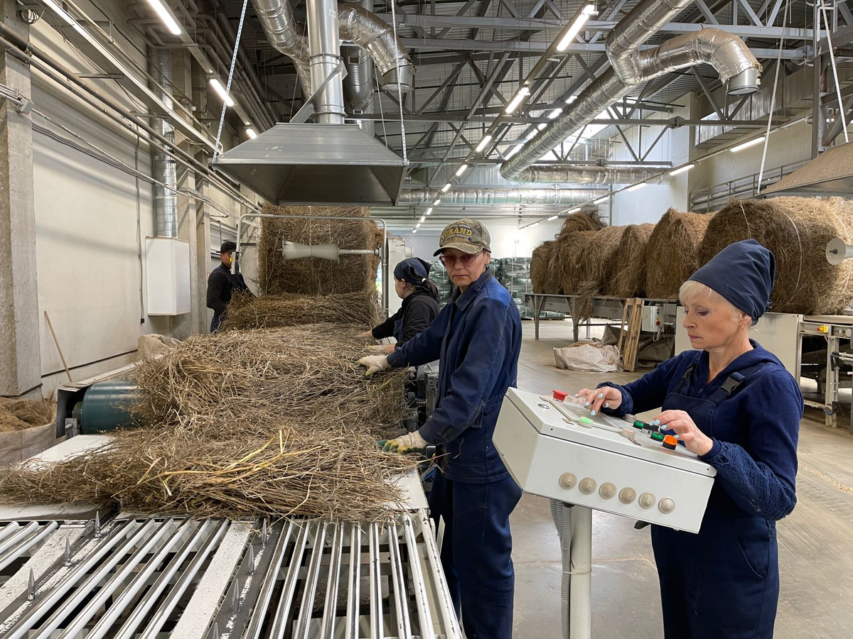 Производственный цех компании «Русский лен»