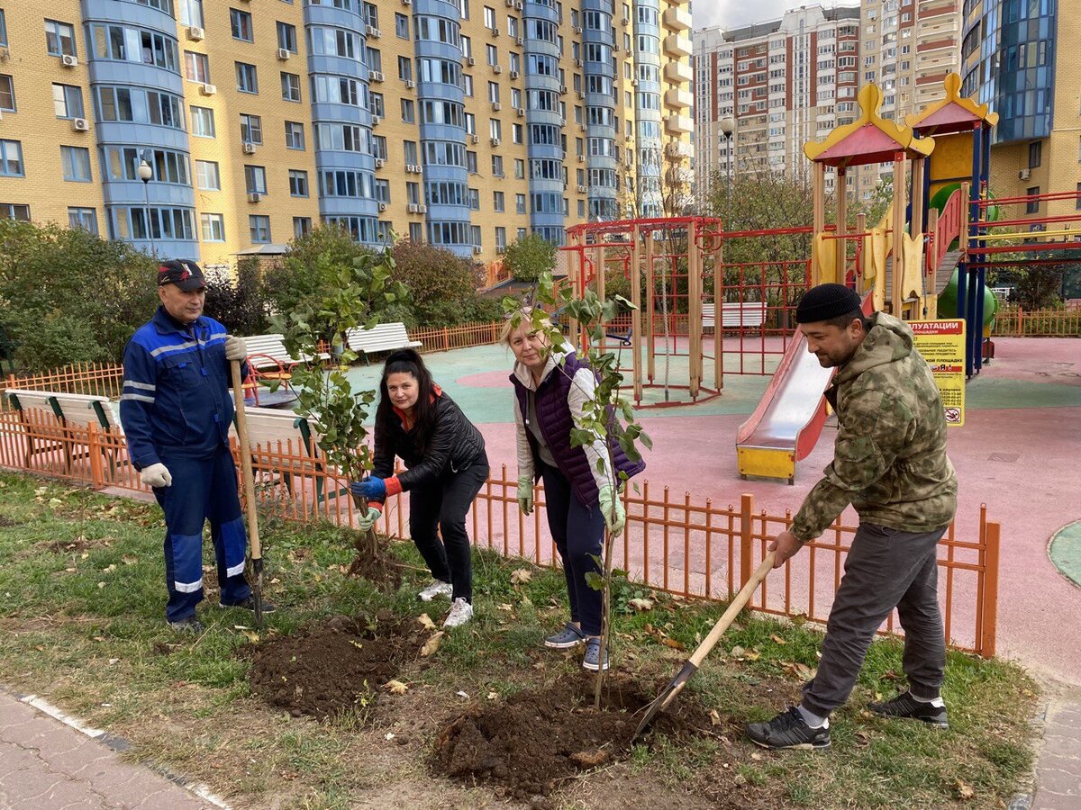 Ук центрстрой Ук центрстрой