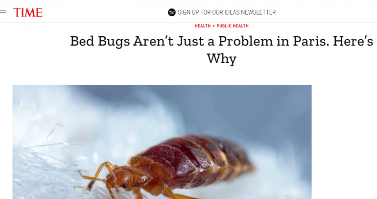    Клопы в Париже. Фото: скриншот time.com
