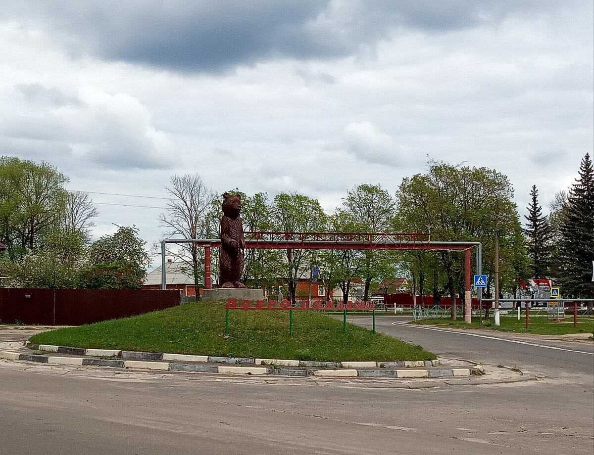 Мишка на въезде в поселок радушно встречает каждого путника! Своего рода символ поселка)