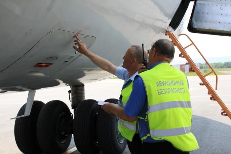 Фото из открытых источников.