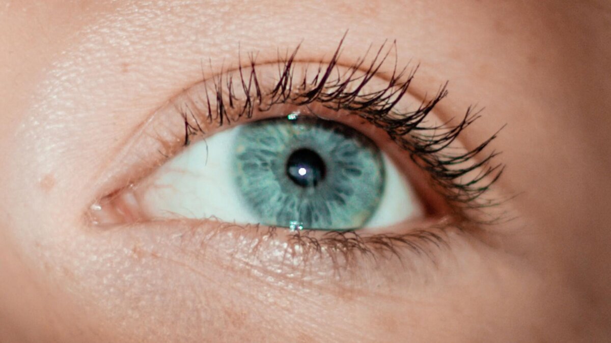    Не так очевидно: врач ответила, почему гаджеты так вредны для зрения© Unsplash | Kajetan Sumila