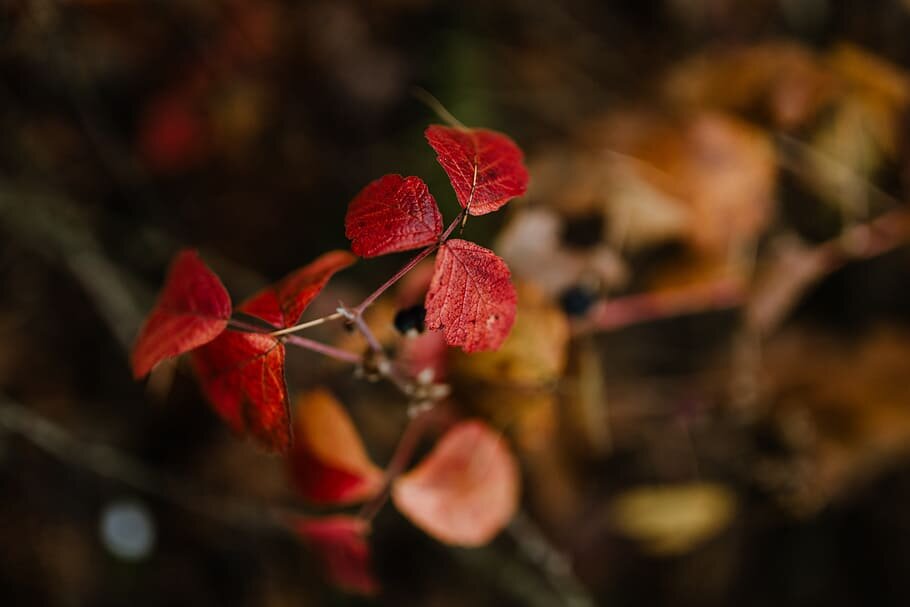 Какой будет зима по приметам на Покров Пресвятой Богородицы? | Беседа ...