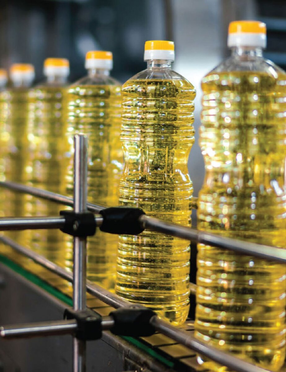 Фото: пресс-служба администрации Краснодарского края