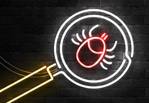     Что делать, если укусил клещ: 9 важных правил