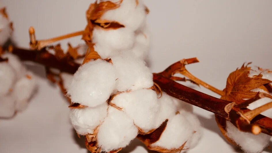 Источник: Unsplash.ru