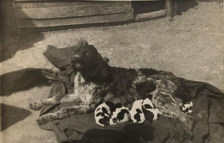 Иллюстрация: фотография из архива жительницы с. Свияжск Л.П. Колесовой