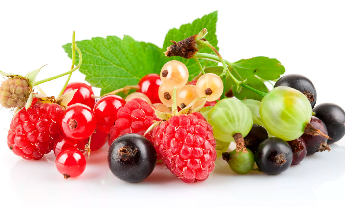 фото с Яндекс.Картинки