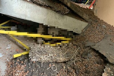    Рабочий погиб при обрушении плиты на стройке на северо‑востоке Москвы ©Telegram-канал прокуратуры г. Москвы
