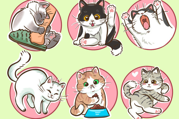     Как успокоить кошку во время течки: советы, которые облегчат жизнь вам и питомцу