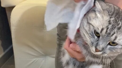 КУЗЯКА | Ух, я тебе покажу! 🥊 | Дзен