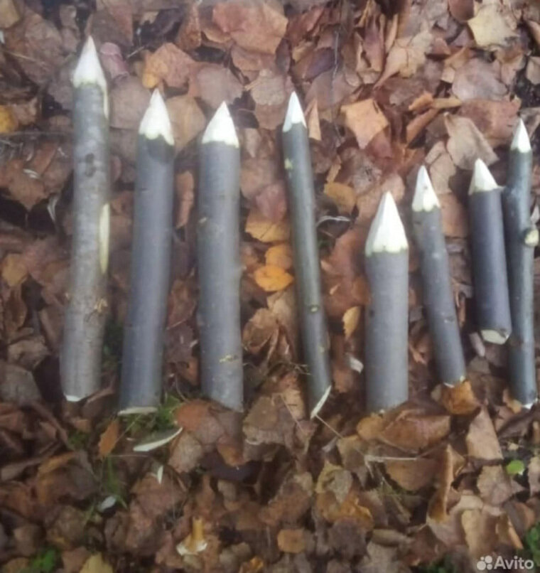    В Пыть-Яхе продают осиновые колья