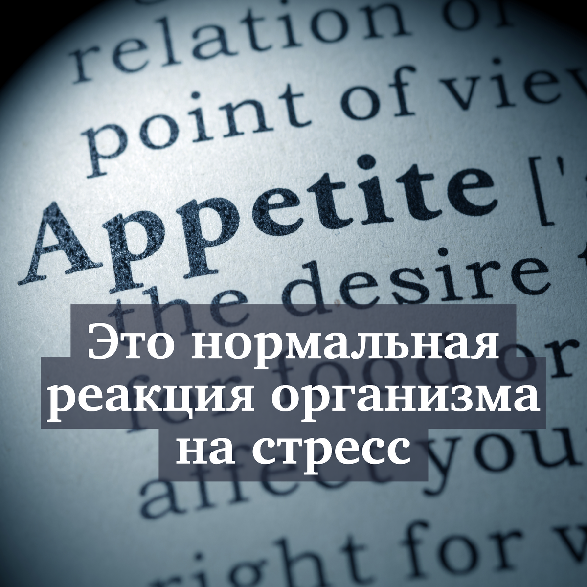 https://www.canva.com/