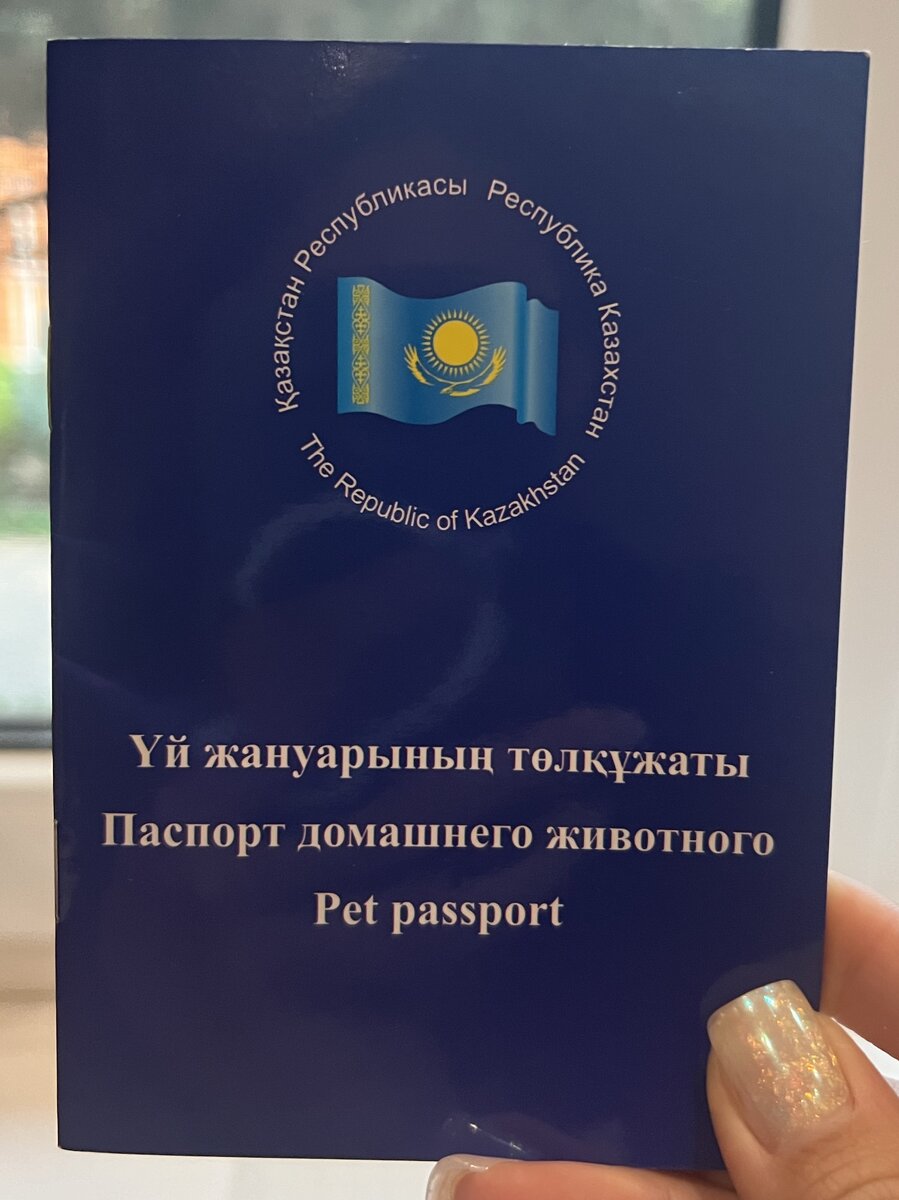 Как привезти домашних животных из Казахстана в Россию. Собственный опыт  авиа перевозки осенью 2023 года. | Жизнь с Жу | Дзен