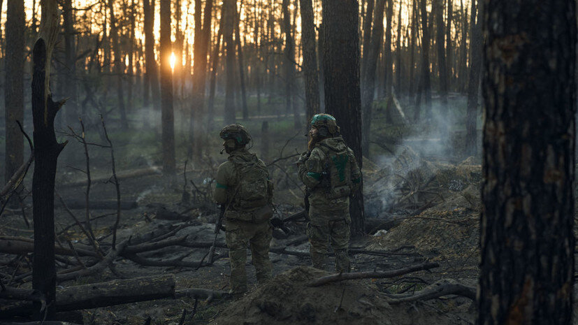   Gettyimages.ru Libkos