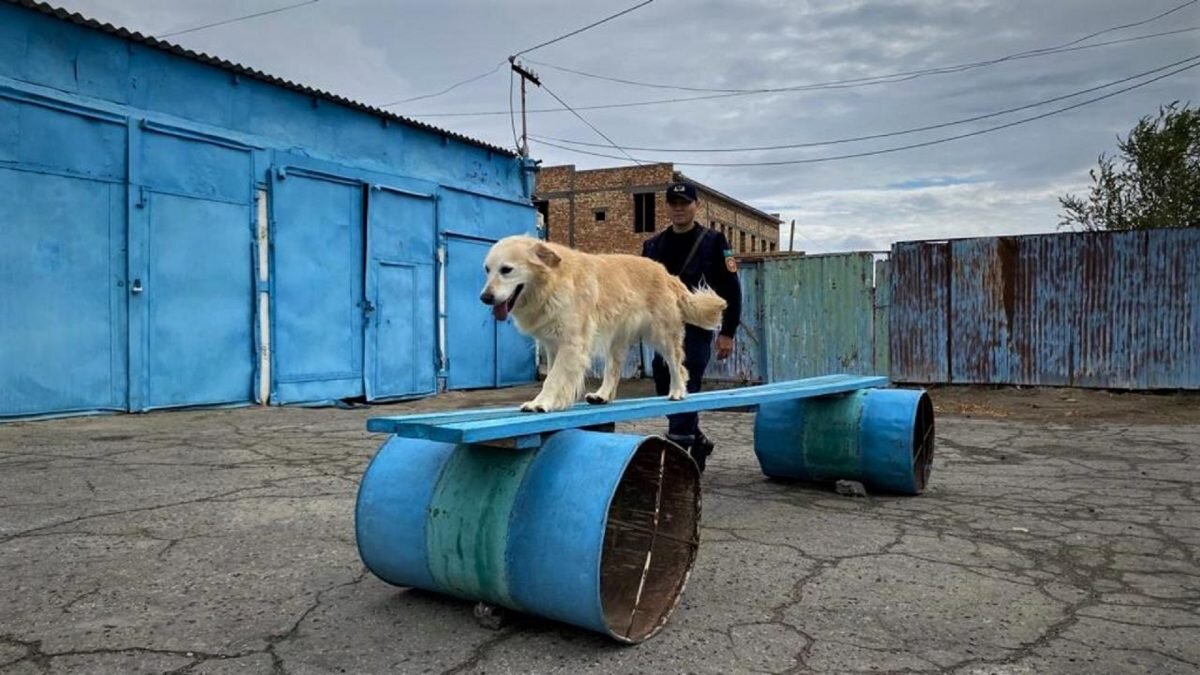    Фото: МЧС РК. Август Макаров