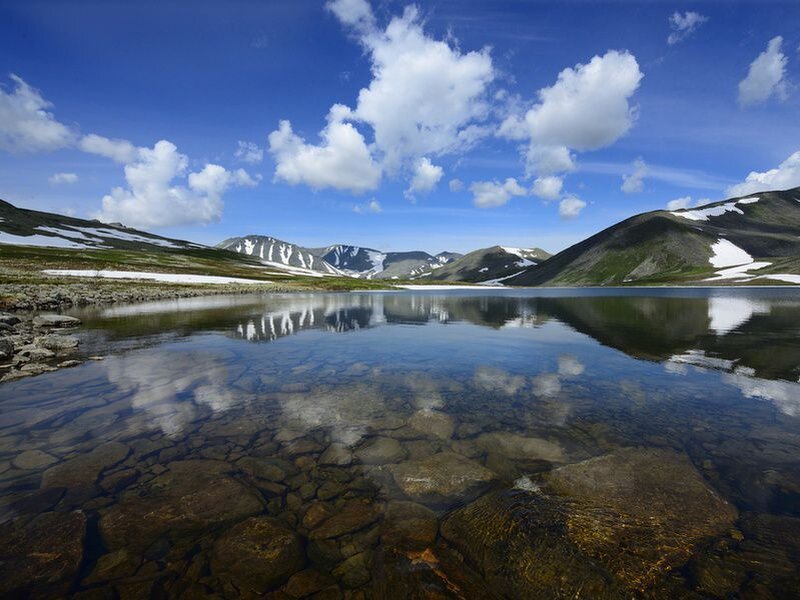 Фото: shutterstock.com