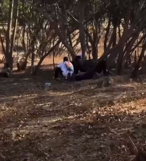 ФОТО: СОЦИАЛЬНЫЕ СЕТИ