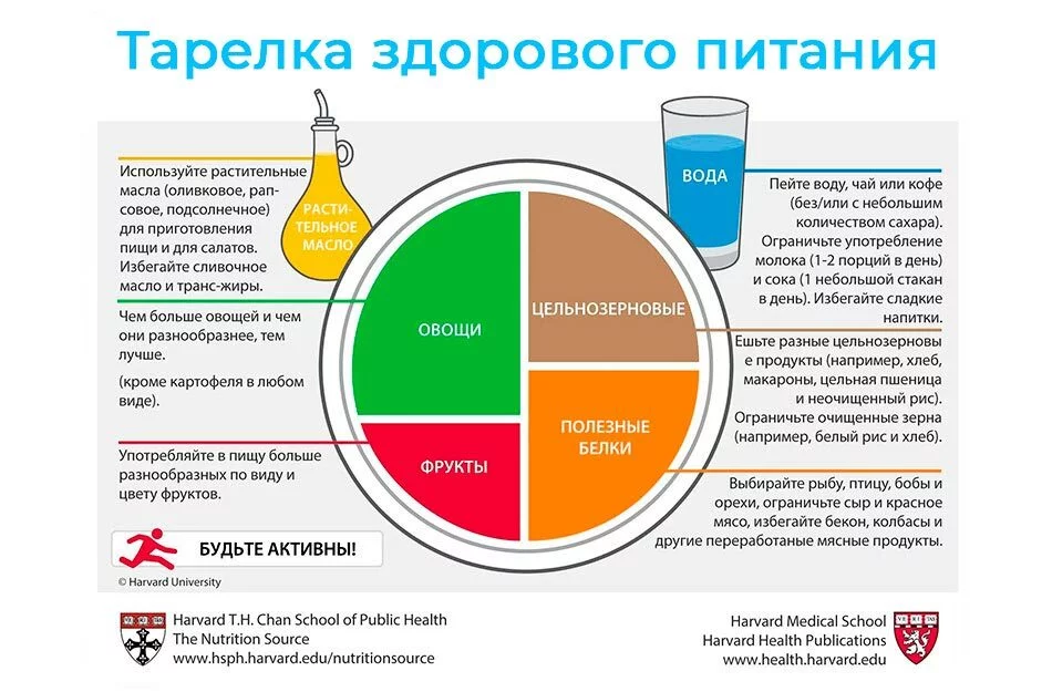 При планировании рациона можно опираться на научно обоснованную схему питания от Гарвардской медицинской школы