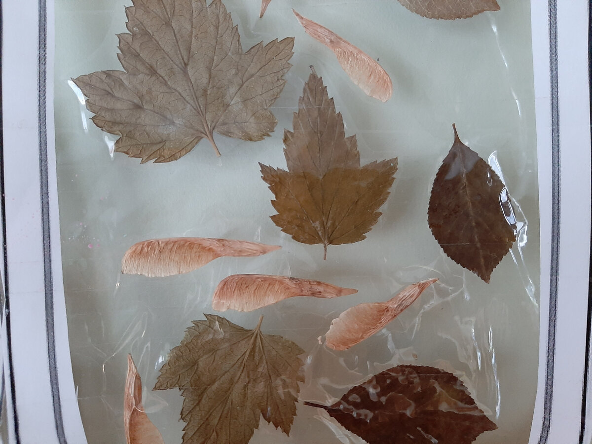 Содержимое запечатано скотчем с двух сторон