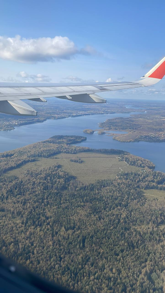 Прекрасные виды, на подлете к Москве. 