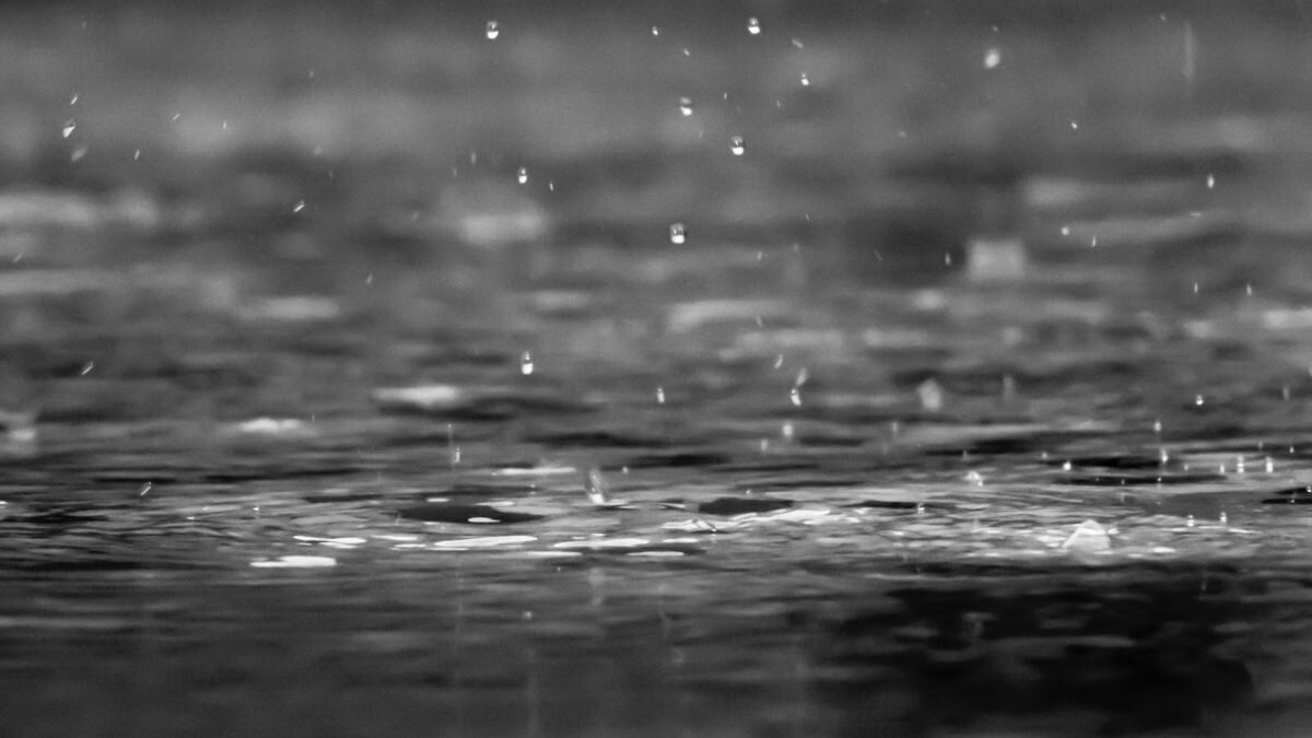    Фото: unsplash.com. Август Макаров