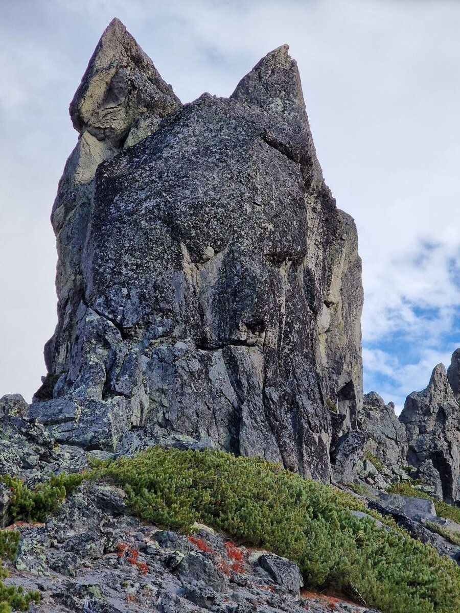 Скала, похожая на Хаски, Камчатка. Фото канала «Гид по России | Путешествия»