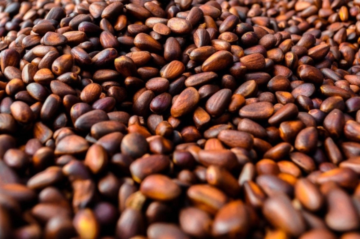    Родители-сыроеды после смерти дочери закрыли бизнес по производству масел