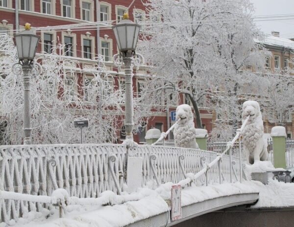 Зимний Петербург. Львиный мостик.