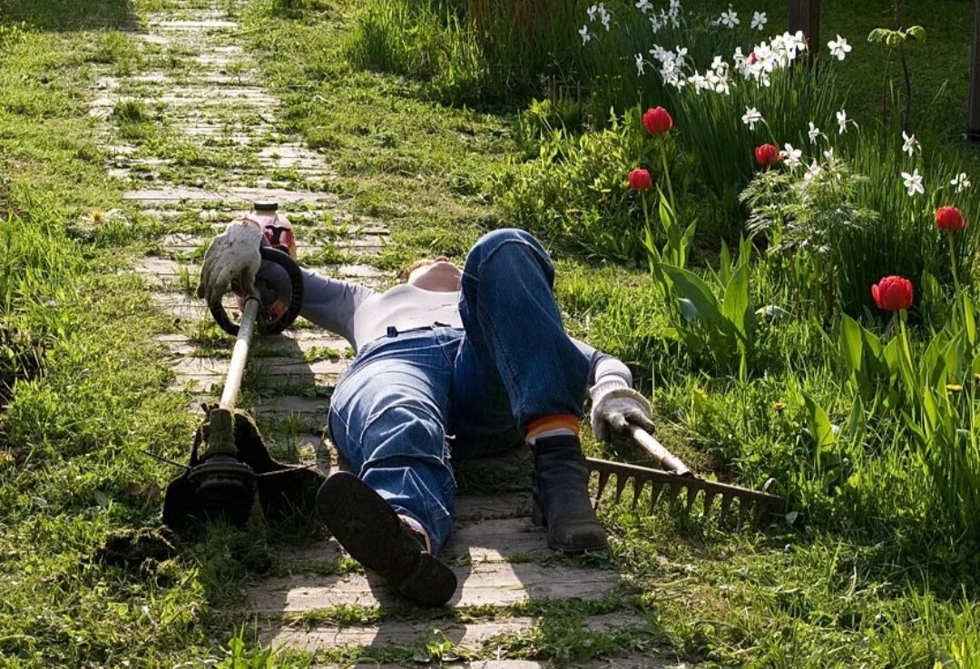 Работники на дачу на день. Устали на даче. Устал на даче. Человек лежит в огороде.