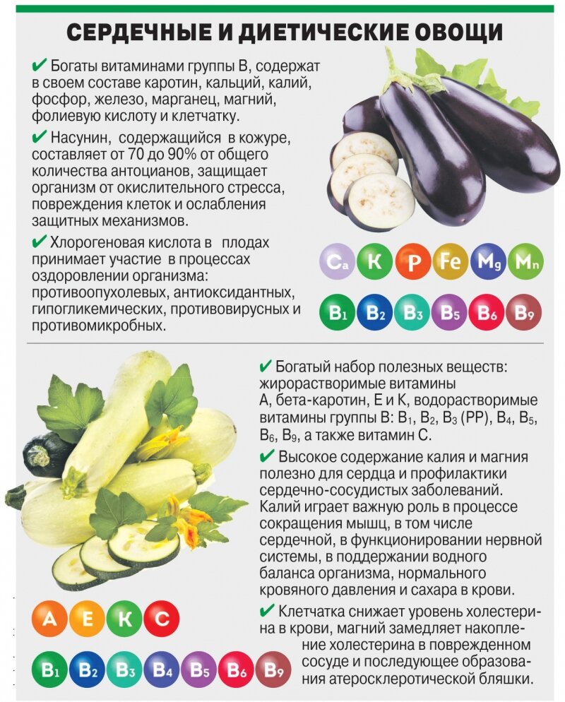 Интересные факты о фруктах и овощах. Полезные свойства кабачка. Чем полезен кабачок. Доклад о кабачке. Кабачок польза и вред для организма человека.