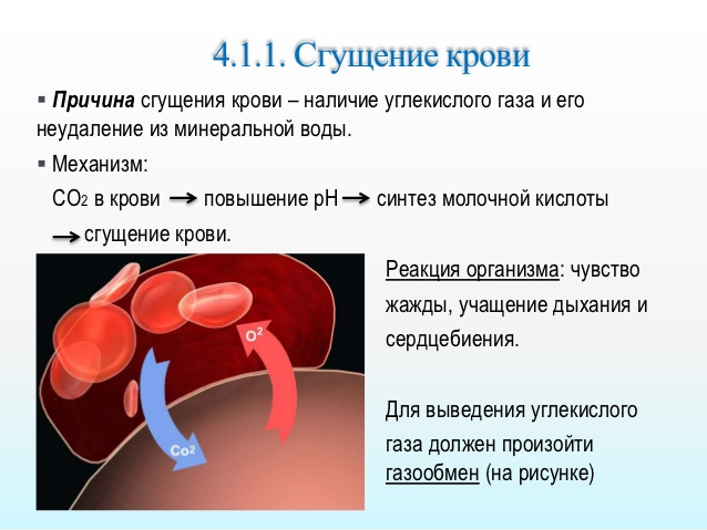 Густая кровь в организме