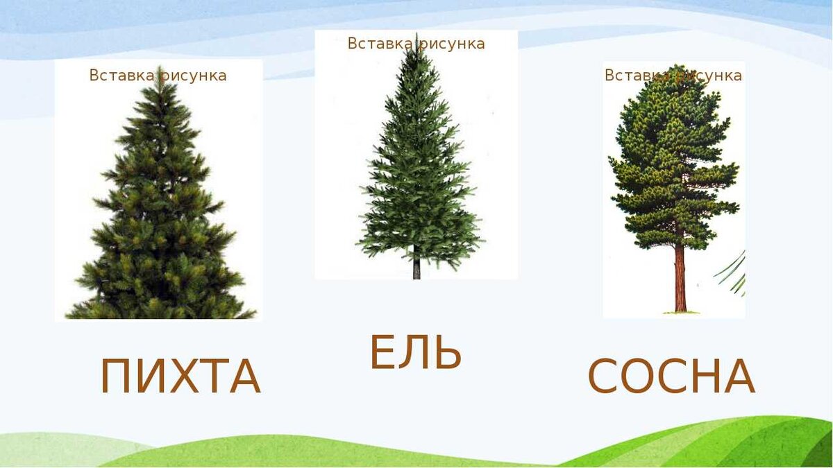 яндекс фотки