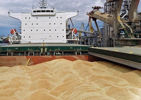    Румыния запустила механизм импорта украинской агропродукции, согласованный с Киевом