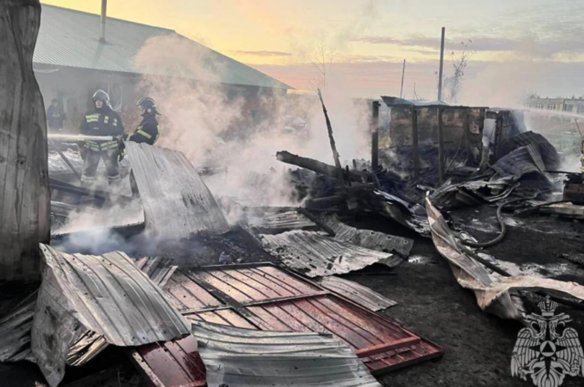    В Новосибирской области при пожаре пострадал маломобильный мужчина