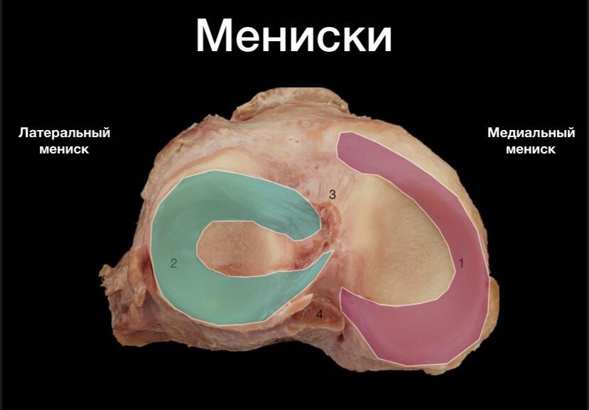 Хирургическое лечение разрывов и повреждений мениска коленного сустава