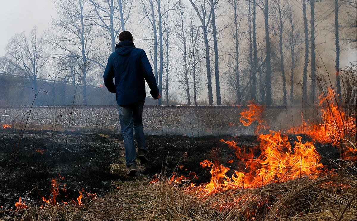 Человек поджигает лес. Пожар в лесу. Виновник лесного пожара. Поджог леса.