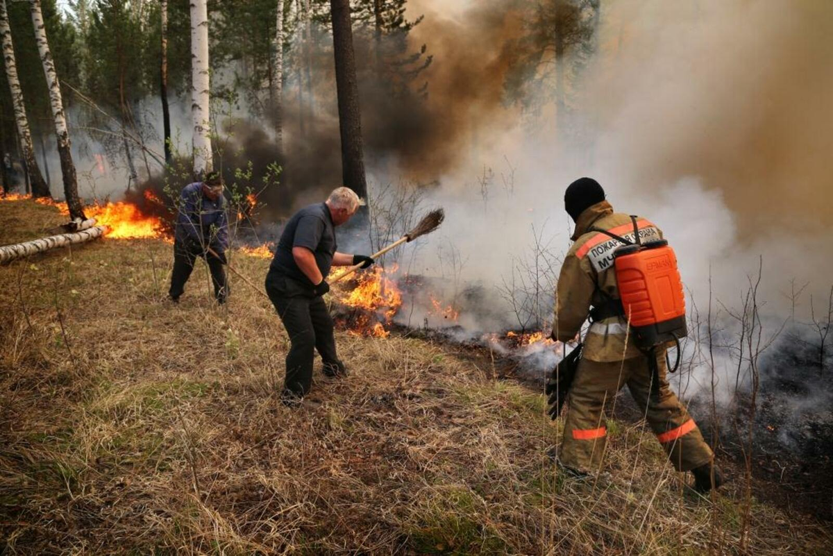 Пожарные в лесу. Борьба с пожарами. Борьба с лесными пожарами. Ликвидация лесных пожаров. Лесные пожарные.