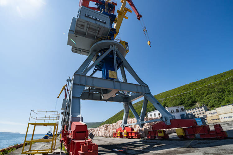 Фото из открытых источников.