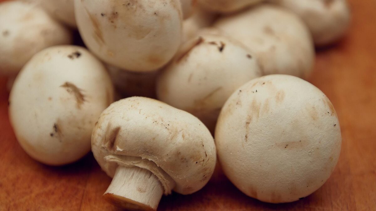    Могут ли шампиньоны профилактировать онкозаболевания? © Unsplash / Gil Ndjouwou
