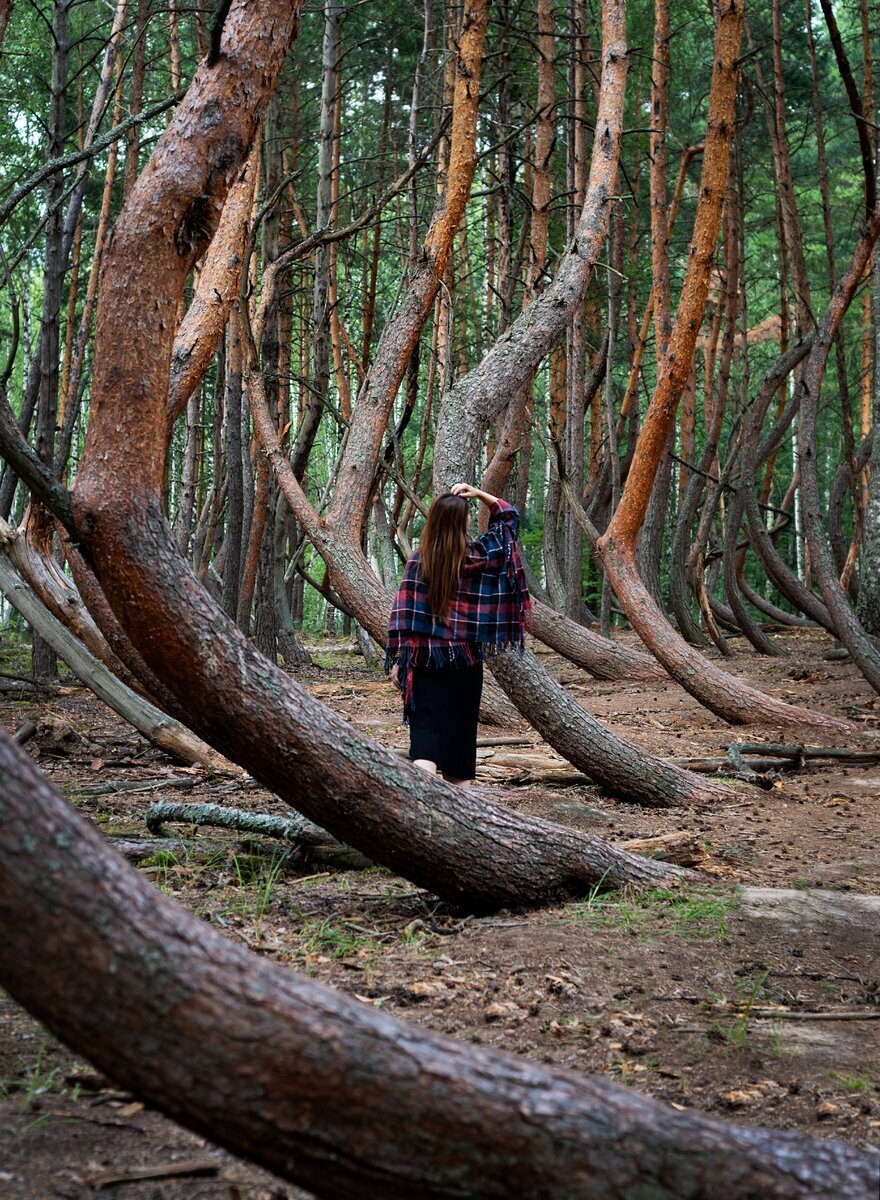 Ведьмин лес в Рязанской области