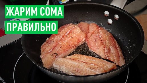 Как правильно жарить сома, чтобы получилось вкусно