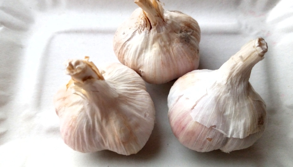Вот почему чеснок сохнет при хранении, теряет вес и портится: эти 3 ошибки допускать нельзя. Давно поняла: и это не про методы хранения