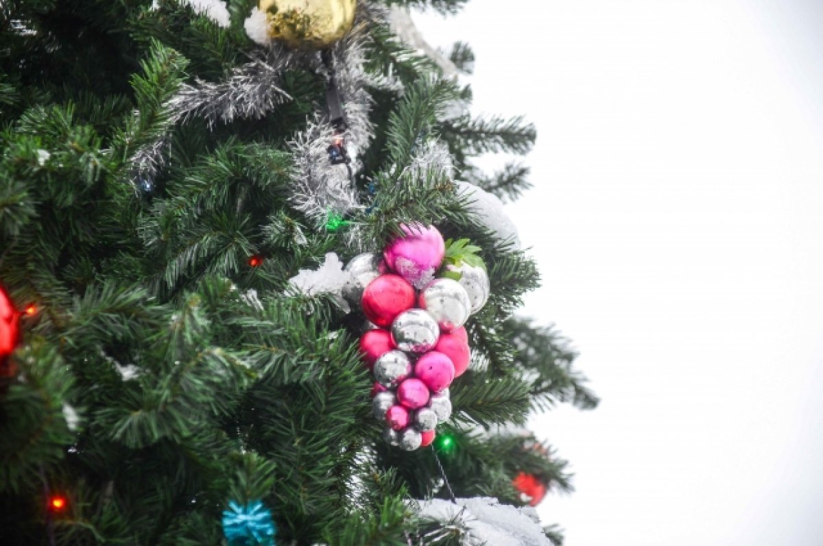    Стало известно, кого из туляков в этом году бесплатно пригласят на ёлку