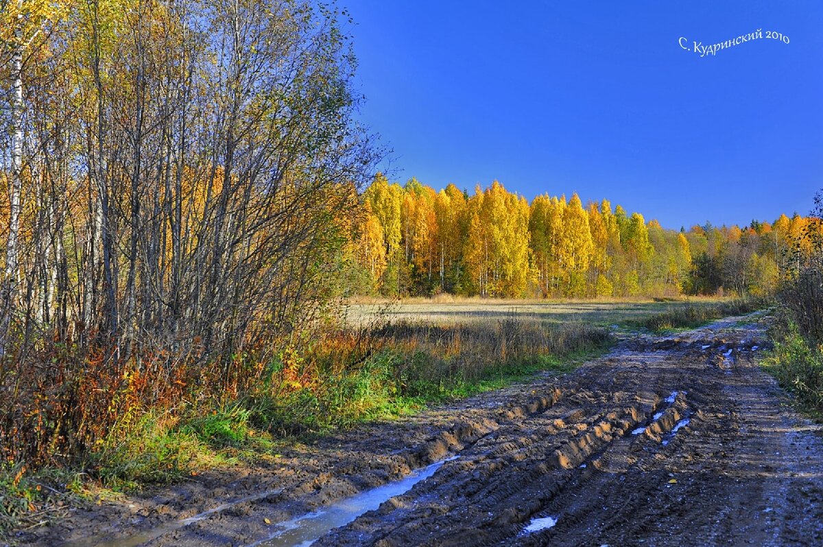 Осень небо. Осенний уж. Осенний уж. Пушкина уж небо осенью дышало. Уж небо осенью дышало фото.